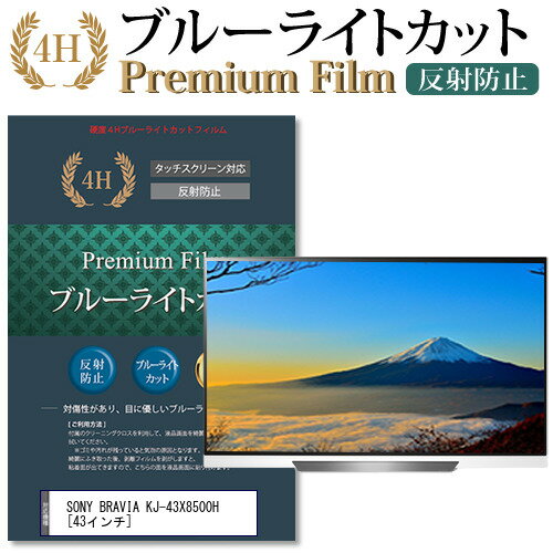 ＼20日はポイント最大5倍 ／ SONY BRAVIA KJ-43X8500H 43インチ 機種で使える ブルーライトカット 液晶TV 保護フィルム メール便送料無料