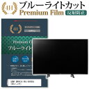 楽天液晶保護フィルムとカバーケース卸＼30日はポイント最大5倍／ SONY BRAVIA XRJ-50X90J [50インチ] 機種で使える ブルーライトカット 指紋防止 液晶TV 保護フィルム メール便送料無料