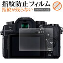 パナソニック LUMIX G99D 保護 フィルム 指紋防止 クリア光沢 画面保護 シート メール便送料無料 jgs bgt