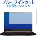 \1日はポイント2倍!!/ MSI GF63 Thin 10U 保護 フィルム ブルーライトカット 反射防止 保護フィルム 指紋防止 メール便送料無料 jgs bgt(2)