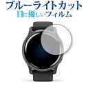 GARMIN Venu 2 専用 ブルーライトカット 反射防止 保護フィルム 指紋防止 液晶フィルム メール便送料無料 jgs bgt 互換品