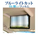 \10日はP最大8倍!!/ 日産 エクストレイル t33 リア席モニター ( 11 インチ ) 液晶保護 フィルム ブルーライトカット 反射防止 保護フィルム 指紋防止 メール便送料無料 jgs bgt