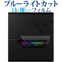 ASUS ROG Flow Z13 ( 2023 ) GZ301V シースルーウィンドウ用 液晶保護 フィルム ブルーライトカット 反射防止 保護フィルム 指紋防止