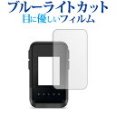 \10日はP最大8倍!!/ ガーミン eTrex Sola 液晶保護 フィルム ブルーライトカット 反射防止 保護フィルム 指紋防止 メール便送料無料 jgs ...