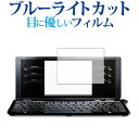 ＼1日はポイント5倍 ／ ポメラ DM100 / KING JIM 専用 ブルーライトカット 反射防止 液晶保護フィルム 指紋防止 液晶フィルム メール便送料無料