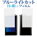 COWON PLENUE 2 両面セット専用 ブルーライトカット 反射防止 液晶保護フィルム 指紋防止 液晶フィルム メール便送料無料 jgs bgt 互換品