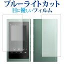 ウォークマン NW-A50シリーズ 両面セット専用 ブルーライトカット 反射防止 液晶保護フィルム 指紋防止 液晶フィルム メール便送料無料 jgs bgt 互...