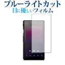 FiiO M11 専用 ブルーライトカット 反射防止 液晶保護フィルム メール便送料無料 jgs bgt