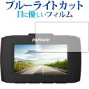 ドライブレコーダー GoSafe 34G /PAPAGO専用 ブルーライトカット 反射防止 液晶保護 ...