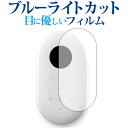 \10日はP最大8倍!!/ SOURCENEXT POCKETALK (ポケトーク) 専用 ブルーライトカット 反射防止 液晶保護フィルム 指紋防止 液晶フィル...