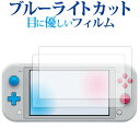Nintendo Switch Lite ザシアン・ザマゼンタ 2枚組 専用 ブルーライトカット 反射防止 液晶保護フィルム 指紋防止 液晶フィルム メール便送料無料