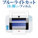 \10日はP最大8倍!!/ 名探偵コナン ナゾトキPad / SEGA toys 専用 ブルーライトカット 反射防止 液晶保護フィルム 指紋防止 液晶フィルム メール便送料無料 jgs bgt