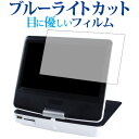 ＼15日は最大ポイント10倍!!／ BLUEDOT BDP-1719W 専用 ブルーライトカット 反射防止 液晶保護フィルム 指紋防止 液晶フィルム メール便送料無料