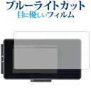 MOTO GPS RADAR LCD 3.0 / Daytona専用 ブルーライトカット 反射防止 液晶保護フィルム 指紋防止 液晶フィルム メール便送料無料