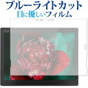 ＼30日はポイント最大5倍／ ThinkPad X1 Tablet (2018モデル) IRカメラ搭載モデル専用 ブルーライトカット 反射防止 液晶保護フィルム 指紋防止 液晶フィルム メール便送料無料