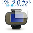 ＼5日はポイント最大5倍／ GARMIN Foretrex 401 / 301 専用 ブルーライトカット 反射防止 液晶保護フィルム 指紋防止 液晶フィルム メール便送料無料