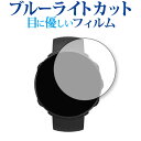 \10日はP最大8倍!!/ Polar Vantage M 専用 ブルーライトカット 反射防止 液晶保護フィルム メール便送料無料 jgs bgt