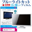 Apple Studio Display 27インチ 保護 フィルム カバー シート ブルーライトカット 反射防止 指紋防止 気泡レス 抗菌 液晶保護フィルム メール便送料無料