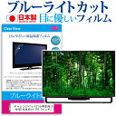 チャレンジパッド2(小学生向け/中学1年生向け) 10.1インチ ブルーライトカット 日本製 反射防止 液晶保護フィルム 指紋防止 気泡レス加工 液晶フィルム メール便なら送料無料