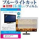 ＼20日は最大ポイント5倍 ／ IODATA EX-LD2071TB 20.7インチ ブルーライトカット 日本製 反射防止 液晶保護フィルム 指紋防止 気泡レス加工 液晶フィルム メール便送料無料