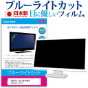 IODATA LCD-AD194EW 18.5インチ ブルーライトカット 日本製 反射防止 液晶保護フィルム 指紋防止 気泡レス加工 液晶フィルム メール便送料無料