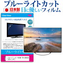 パナソニック VIERA TH-32D325 32インチ ブルーライトカット 日本製 反射防止 液晶保護フィルム 指紋防止 気泡レス加工 画面保護 メール便送料無料