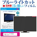 SKジャパン SQ-Y24H302 [24インチ] 機種で使える ブルーライトカット 日本製 反射防止 液晶保護フィルム 指紋防止 気泡レス加工 画面保護 メール便送料無料