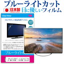 楽天液晶保護フィルムとカバーケース卸＼5日はポイント最大5倍／ （ぴったりサイズ） パナソニック プライベート・ビエラ UN-15TD8 / 15CTD8 [15インチ] 機種で使える ブルーライトカット 日本製 反射防止 液晶保護フィルム 指紋防止 気泡レス加工 画面保護 メール便送料無料