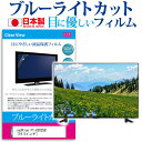 ＼30日は最大ポイント5倍!!／ neXXion FT-A2025B [19.5インチ] 機種で使える ブルーライトカット 日本製 反射防止 液晶保護フィルム 指紋防止 気泡レス加工 画面保護 メール便送料無料