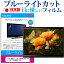 FFF SMART LIFE CONNECTED IRIE FFF-TV32WBK2-SB [32インチ] 保護 フィルム カバー シート ブルーライトカット 反射防止 指紋防止 気泡レス 抗菌 テレビ用 液晶保護フィルム メール便送料無料