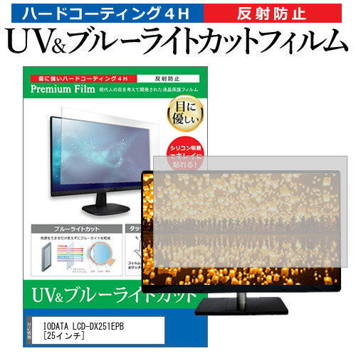 IODATA LCD-DX251EPB  保護 フィルム カバー シート ブルーライトカット 反射防止 指紋防止 液晶保護フィルム メール便送料無料