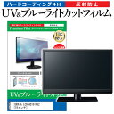 IODATA LCD-AD191XB2 19インチ 機種で使える ブルーライトカット 反射防止 指紋防止 液晶保護フィルム メール便送料無料