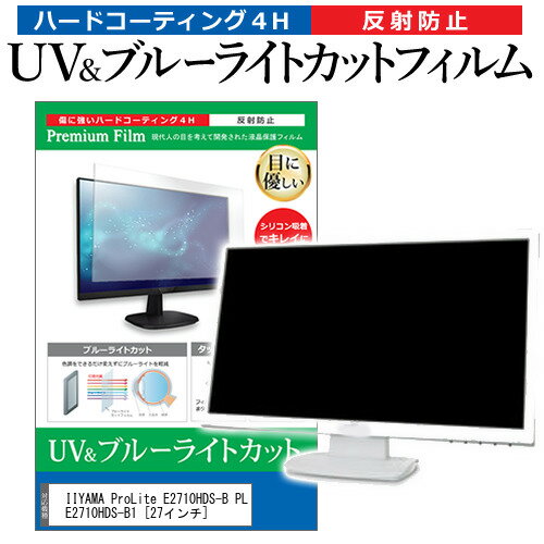 ＼15日はポイント10倍!!／ IIYAMA ProLite