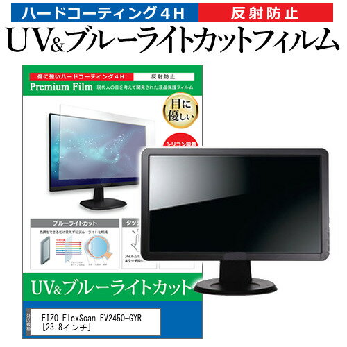 EIZO FlexScan EV2450-GYR [23.8] ǻȤ ֥롼饤ȥå ȿɻ ɻ վݸե ᡼̵