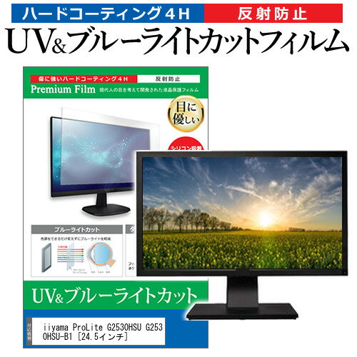 iiyama ProLite G2530HSU G2530HSU-B1 24.5インチ 機種で使える ブルーライトカット 反射防止 指紋防止 液晶保護フィルム メール便送料無料