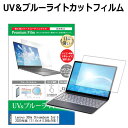 Lenovo 300e Chromebook 2nd Gen 2020年版 11.6インチ 保護 フィルム カバー シート ブルーライトカット 反射防止 指紋防止 液晶保護フィルム メール便送料無料