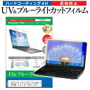 ＼25日はポイント10倍 ／ LGエレクトロニクス LG gram 16T90Q シリーズ 16インチ 保護 フィルム カバー シート ブルーライトカット 反射防止 指紋防止 液晶保護フィルム メール便送料無料