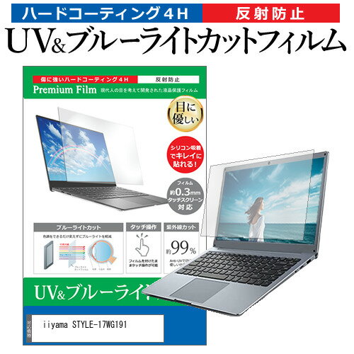 楽天液晶保護フィルムとカバーケース卸＼15日はポイント10倍!!／ iiyama STYLE-17WG191 [17.3インチ] 保護 フィルム カバー シート ブルーライトカット 反射防止 指紋防止 液晶保護フィルム メール便送料無料