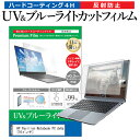 ＼1日はポイント5倍!!／ HP Pavilion Notebook PC dv6a  機種で使える ブルーライトカット 反射防止 指紋防止 液晶保護フィルム メール便送料無料