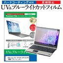 ASUS Eee PC 1015PX EPC1015PX-WMBK 10.1インチ 機種で使える ブルーライトカット 反射防止 指紋防止 液晶保護フィルム メール便送料無料