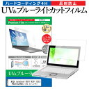 東芝 dynabook N301 N301 02EC PN30102ENVC 10.1インチ 機種で使える ブルーライトカット 反射防止 指紋防止 液晶保護フィルム メール便送料無料