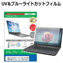 NEC VersaPro タイプVF PC-VK22TFWD4RZN 15.6インチ 機種で使える ブルーライトカット 反射防止 指紋防止 液晶保護フィルム メール便送料無料