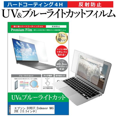 ＼20日はポイント最大5倍 ／ エプソン DIRECT Endeavor NA520E 13.3インチ 機種で使える ブルーライトカット 反射防止 指紋防止 液晶保護フィルム メール便送料無料