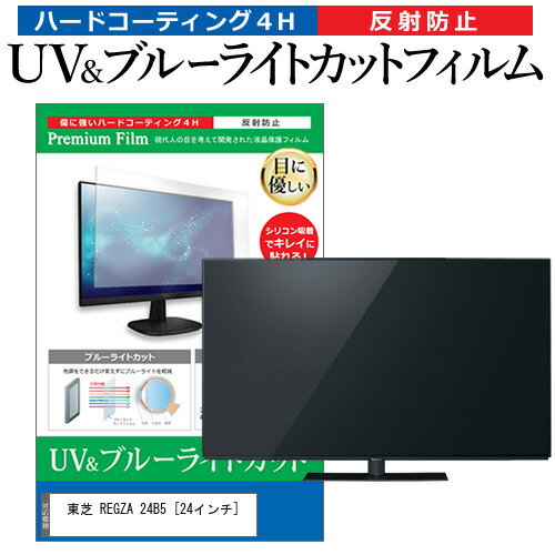 ＼15日はポイント10倍 ／ 東芝 REGZA 24B5 24インチ 機種で使える ブルーライトカット 反射防止 指紋防止 液晶TV 保護フィルム メール便送料無料