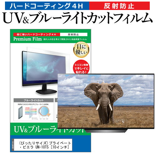 (ぴったりサイズ)プライベート ビエラ UN-10T5 10インチ 機種で使える ブルーライトカット 反射防止 指紋防止 液晶TV 保護フィルム メール便送料無料