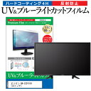 ＼20日は最大ポイント5倍 ／ オリオン BN-32DT10H 32インチ 機種で使える ブルーライトカット 反射防止 指紋防止 液晶TV 保護フィルム メール便送料無料