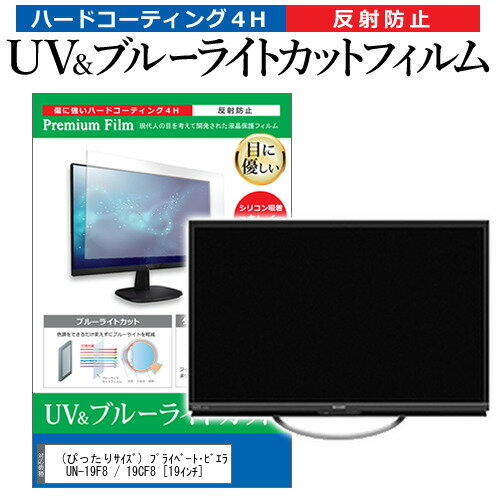 (ぴったりサイズ) プライベート・ビエラ UN-19F8 / 19CF8 [19インチ] 機種で使える ブルーライトカット 反射防止 指紋防止 液晶TV 保護フィルム メール便送料無料