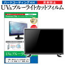 SONY BRAVIA KJ-55X8500F 55インチ 液晶 テレビ 保護フィルム ブルーライトカット 55型 反射防止 パネル 画面 モニター 破損 防止