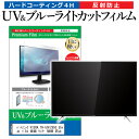 \20日はP最大13倍!!/ パナソニック VIERA TH-55FZ950 55インチ 液晶 テレビ 保護フィルム ブルーライトカット 55型 反射防止 パネル 画面 モニター 破損 防止 jgs bgt