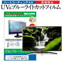 ＼30日はポイント最大5倍／ ジョワイユ 55TV4KUHDSW184 55インチ 液晶 テレビ 保護フィルム ブルーライトカット 55型 反射防止 パネル 画面 モニター 破損 防止